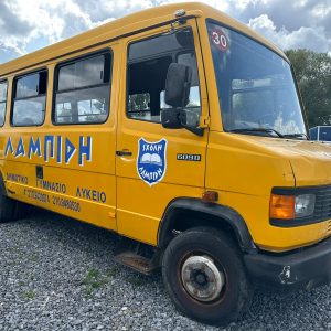 Mercedes Benz Vario